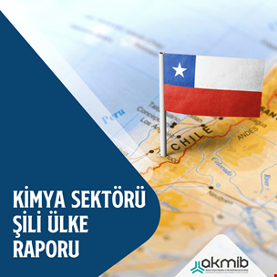 Kimya Sektörü Şili Ülke Raporu